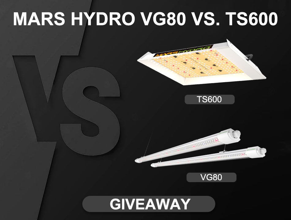 プレゼントキャンペーン | マース ハイドロ VG80 育苗ライト VS. TS600 LEDはライトを育てる
