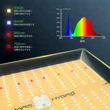 Mars Hydro TS 1000（範囲80×80CM / 135W）植物育成LEDライト